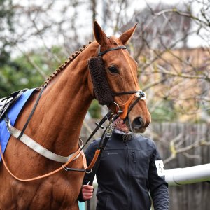 Doncaster | Sky Bet Chase | 28/1/23