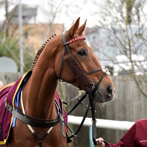 Doncaster | Sky Bet Chase | 28/1/23