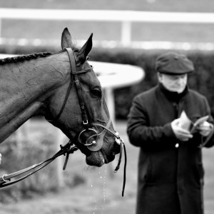 Doncaster | Sky Bet Chase | 28/1/23