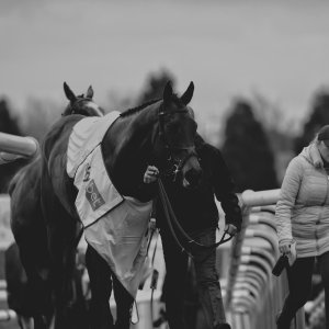 Doncaster | Sky Bet Chase | 28/1/23