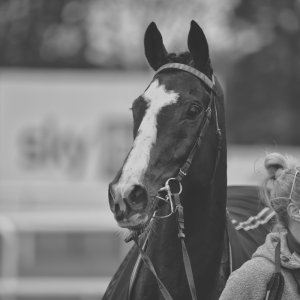 Doncaster | Sky Bet Chase | 28/1/23