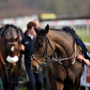 Doncaster | Sky Bet Chase | 28/1/23