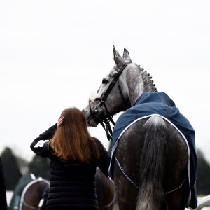 Doncaster | Sky Bet Chase | 28/1/23