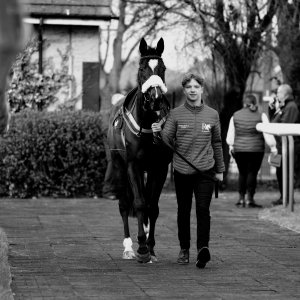 Doncaster | Sky Bet Chase | 28/1/23