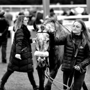 Doncaster | Sky Bet Chase | 28/1/23