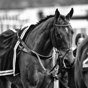 Doncaster | Sky Bet Chase | 28/1/23