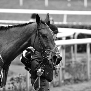 Doncaster | Sky Bet Chase | 28/1/23