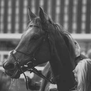 Doncaster | Sky Bet Chase | 28/1/23