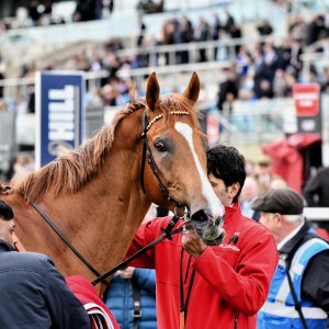 Doncaster | The Lincoln | 23/03/24