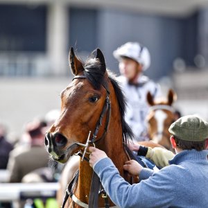 Doncaster | The Lincoln | 23/03/24