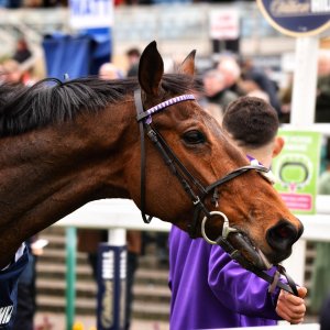 Doncaster | The Lincoln | 23/03/24