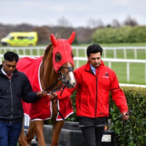 Doncaster | The Lincoln | 23/03/24