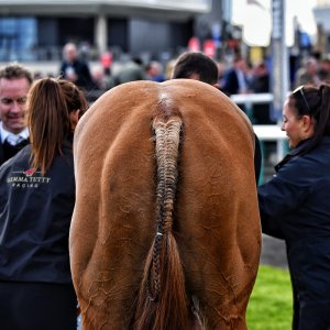 Doncaster | The Lincoln | 23/03/24