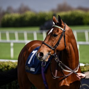 Doncaster | The Lincoln | 23/03/24