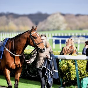 Doncaster | The Lincoln | 23/03/24