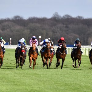 Doncaster | The Lincoln | 23/03/24