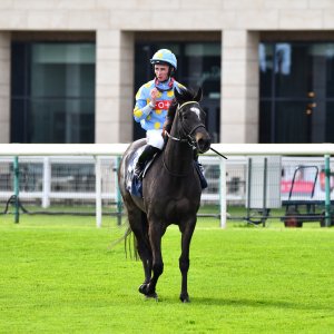 Doncaster | The Lincoln | 23/03/24