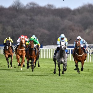 Doncaster | The Lincoln | 23/03/24