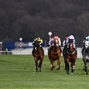 Doncaster | The Lincoln | 23/03/24