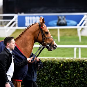 Doncaster | The Lincoln | 23/03/24