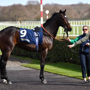 Doncaster | The William Hill Lincoln | 29/03/25