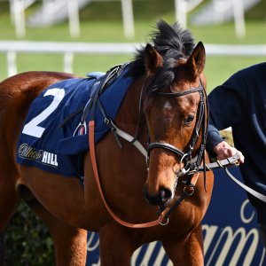 Doncaster | The William Hill Lincoln | 29/03/25