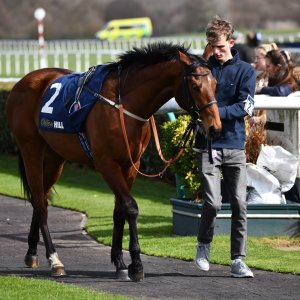 Doncaster | The William Hill Lincoln | 29/03/25