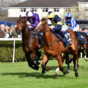 Doncaster | The William Hill Lincoln | 29/03/25