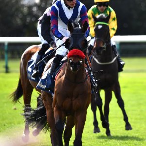 Doncaster | The William Hill Lincoln | 29/03/25