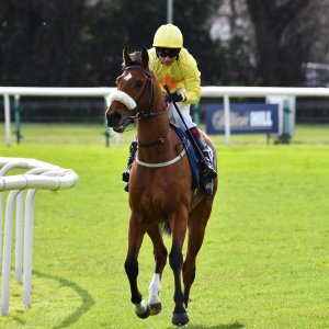 Doncaster | The William Hill Lincoln | 29/03/25