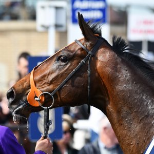 Doncaster | The William Hill Lincoln | 29/03/25