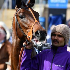 Doncaster | The William Hill Lincoln | 29/03/25