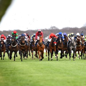 Doncaster | The William Hill Lincoln | 29/03/25