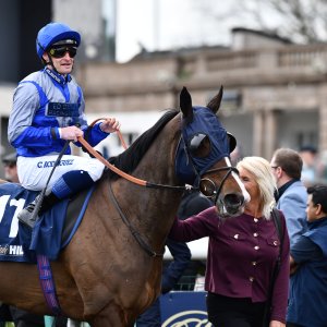 Doncaster | The William Hill Lincoln | 29/03/25