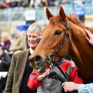 Doncaster | The William Hill Lincoln | 29/03/25