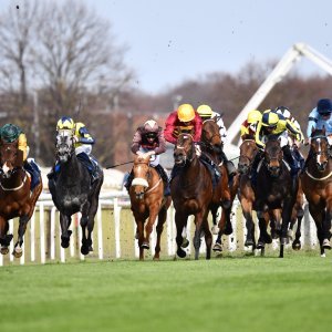 Doncaster | The William Hill Lincoln | 29/03/25