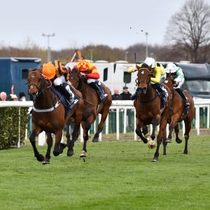 Doncaster | The William Hill Lincoln | 29/03/25