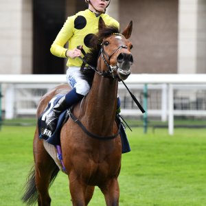 Doncaster | The William Hill Lincoln | 29/03/25