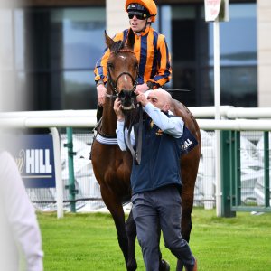 Doncaster | The William Hill Lincoln | 29/03/25