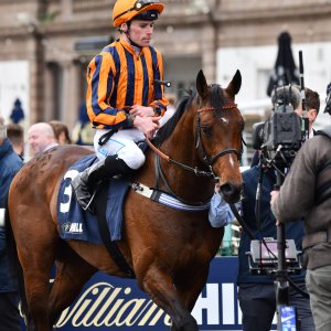 Doncaster | The William Hill Lincoln | 29/03/25