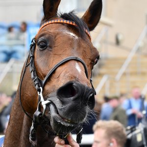 Doncaster | The William Hill Lincoln | 29/03/25