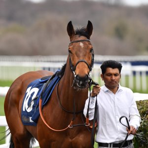 Doncaster | The William Hill Lincoln | 29/03/25