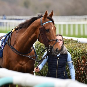 Doncaster | The William Hill Lincoln | 29/03/25