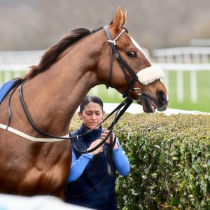 Doncaster | The William Hill Lincoln | 29/03/25