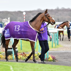 Doncaster | The William Hill Lincoln | 29/03/25