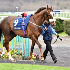 Doncaster | The William Hill Lincoln | 29/03/25