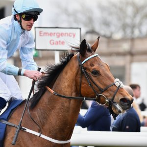 Doncaster | The William Hill Lincoln | 29/03/25