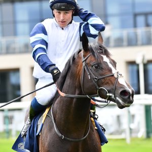 Doncaster | The William Hill Lincoln | 29/03/25