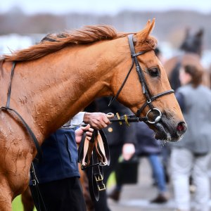 Doncaster | The William Hill Lincoln | 29/03/25