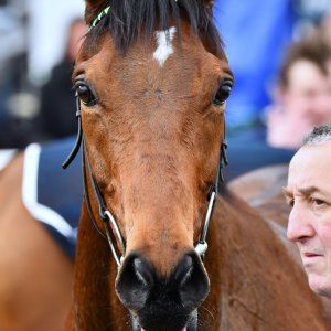 Doncaster | The William Hill Lincoln | 29/03/25